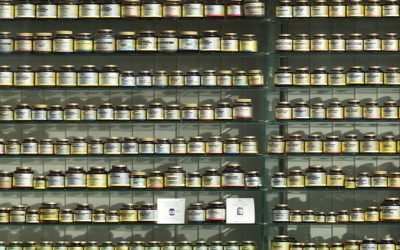 What Is Vitamin B12 and Why Is it Important?
