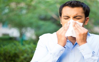 What is Histamine?