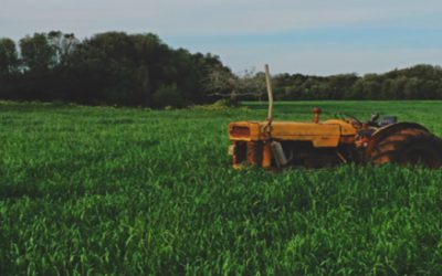 Is Buying Organic Really Worth It?