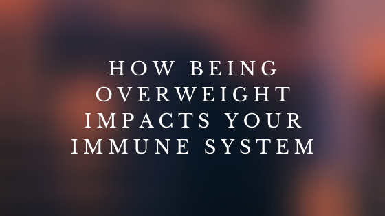 How Being Overweight Impacts Your Immune System