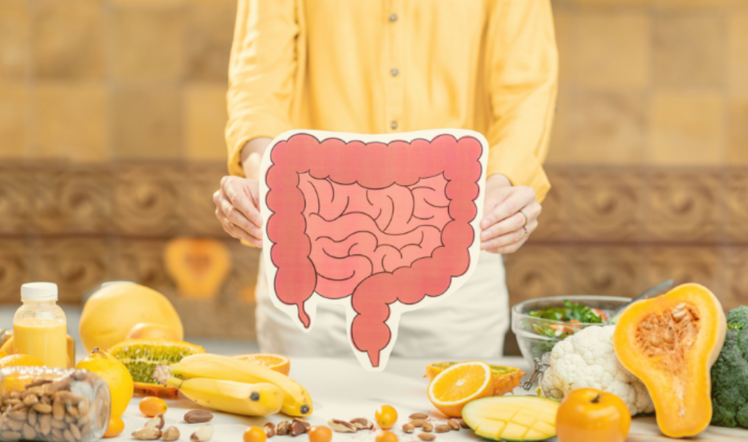 Why You Should Fix Your Gut