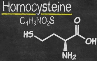 What Your Homocysteine Levels Mean